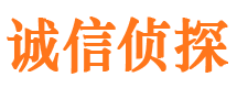 长江新区市调查公司